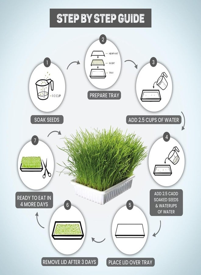 Trixie Cat Grass Seeds with Plastic Planter for Kittens and All Cats, Soft, Vitamin-Rich, Easy Grow, Nutritious & Natural, Supports Health & Digestion, 100 g - Image 2